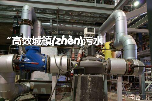 “高效城鎮(zhèn)污水處理流程，守護(hù)碧水藍(lán)天新篇章”